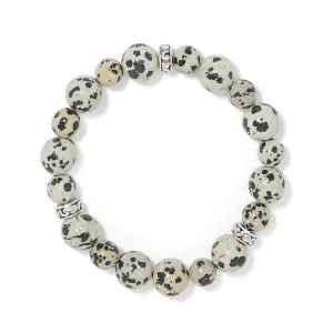 Contempo Zoic Stretch Bracelet