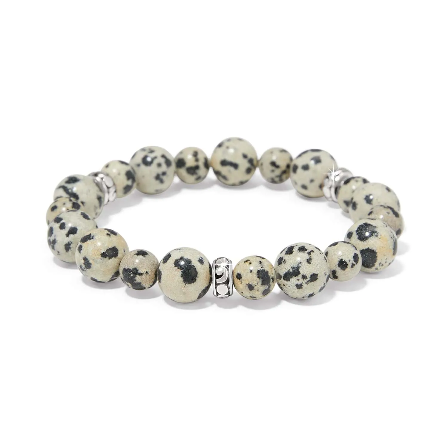 Contempo Zoic Stretch Bracelet