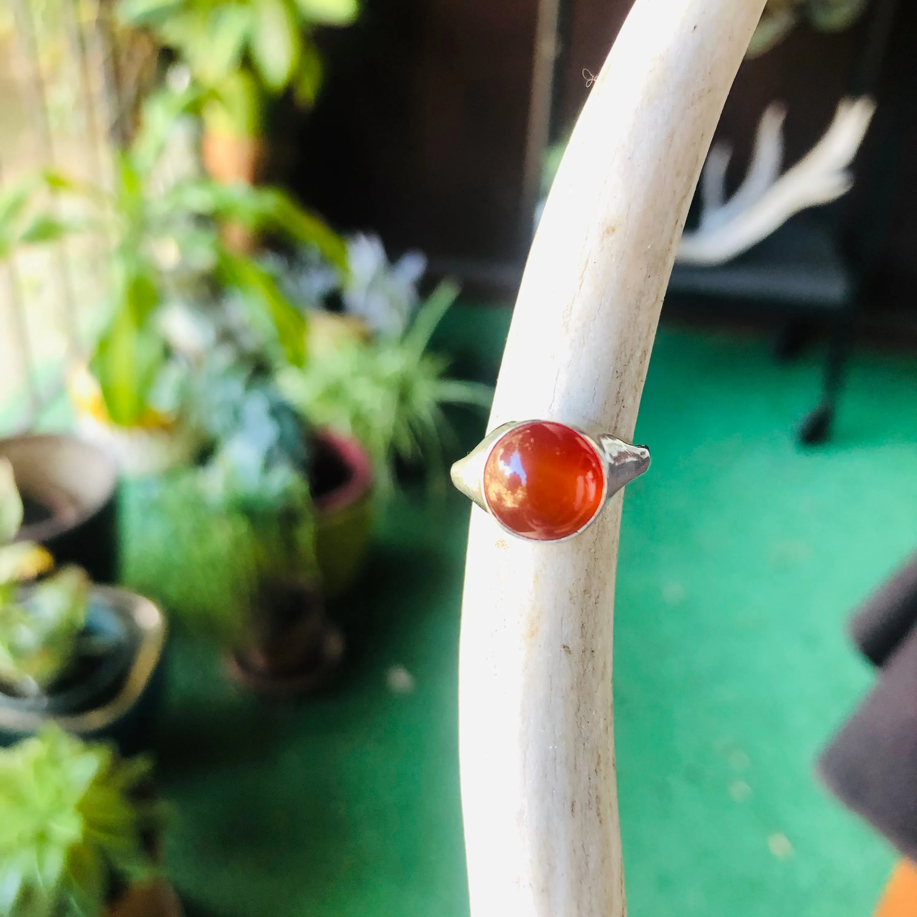 Floating Carnelian Ring