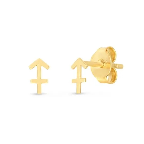 Gold Zodiac Stud Earrings